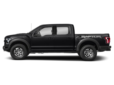 2019 Ford F-150 Raptor 802A/ROOF/TECH PACKAGE