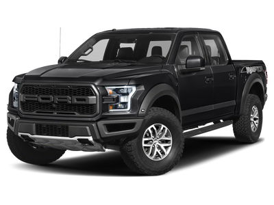 2019 Ford F-150 Raptor 802A/ROOF/TECH PACKAGE