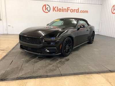 2025 Ford Mustang EcoBoost Premium NITE PONY/201A PACKAGE