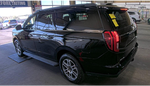 2025 Ford Expedition Max Active 202A/ROOF