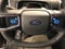 2025 Ford Expedition Active 202A/ROOF