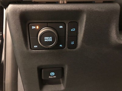 2025 Ford Expedition Active 202A/ROOF