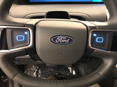 2025 Ford Expedition Active 202A/ROOF
