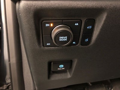 2025 Ford Expedition Active 202A/ROOF