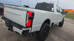 2025 Ford F-250SD Platinum LIFTED/ROOF