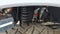2025 Ford F-250SD Platinum LIFTED/ROOF