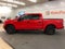 2019 Ford F-150 XL STX/SPORT