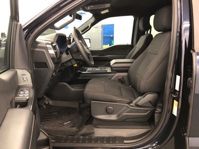 2023 Ford F-150 XL STX