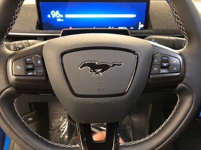 2025 Ford Mustang Mach-E GT PERFRORMANCE PACKAGE/ROOF