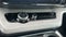 2025 Ford Expedition Active 202A/Panoramic Roof
